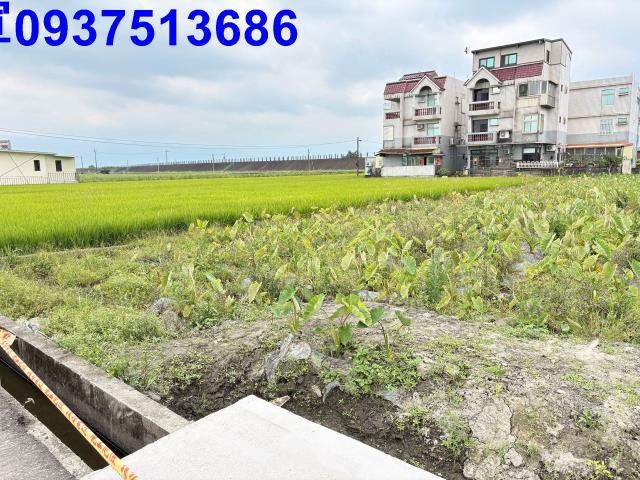 宜蘭壯圍農地-0