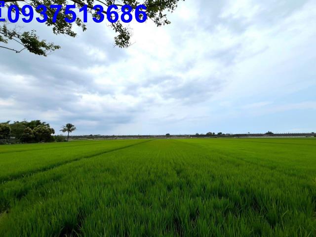 宜蘭壯圍農地-0