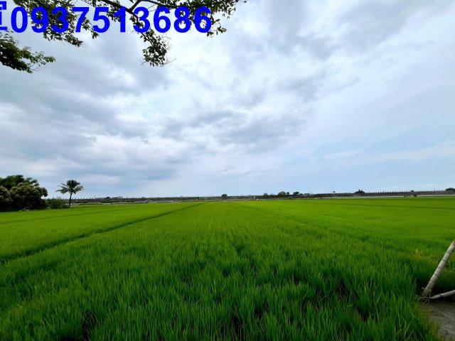 宜蘭壯圍農地-3