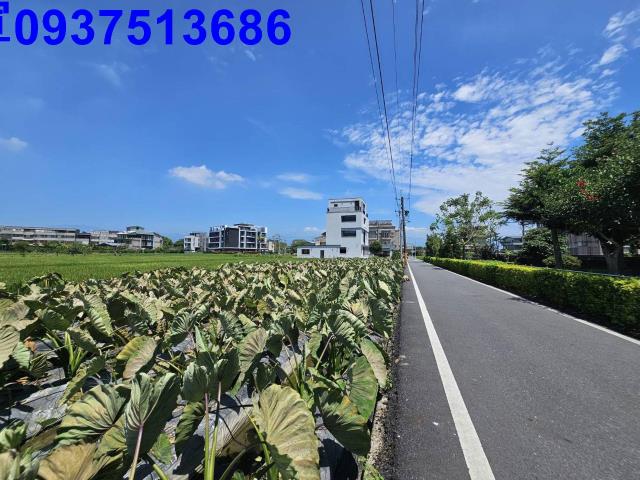 宜蘭羅東農地-14