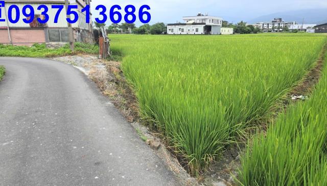 宜蘭壯圍農地-0