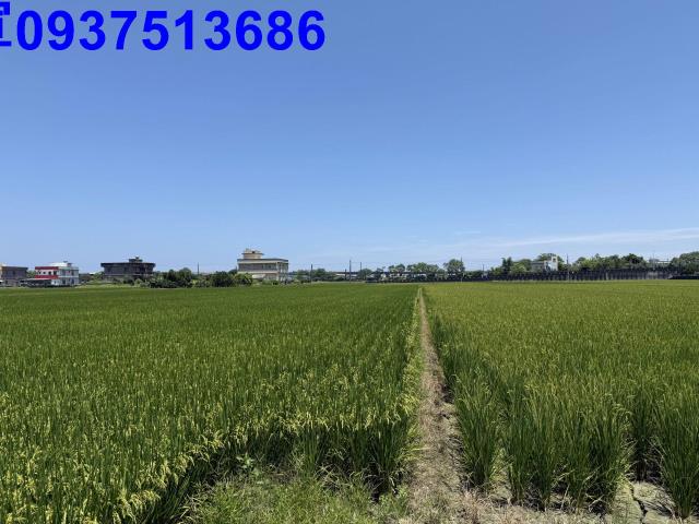 宜蘭礁溪農地-11