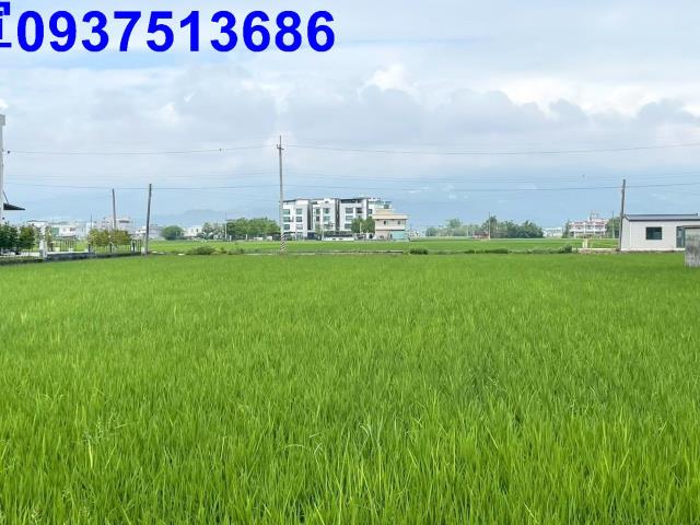 宜蘭壯圍農地-0