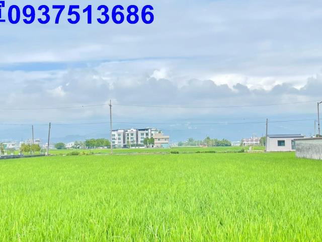 宜蘭壯圍農地-1