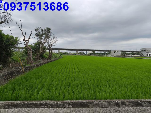 宜蘭五結農地-11