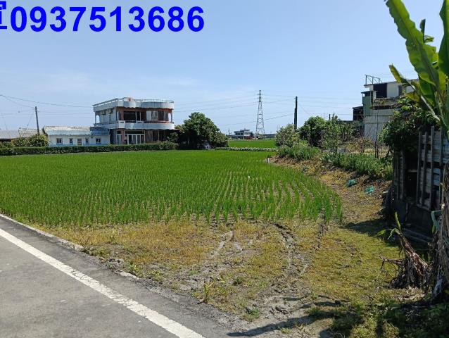 宜蘭農地-2