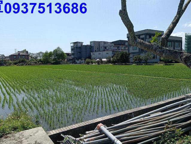 宜蘭農地-3