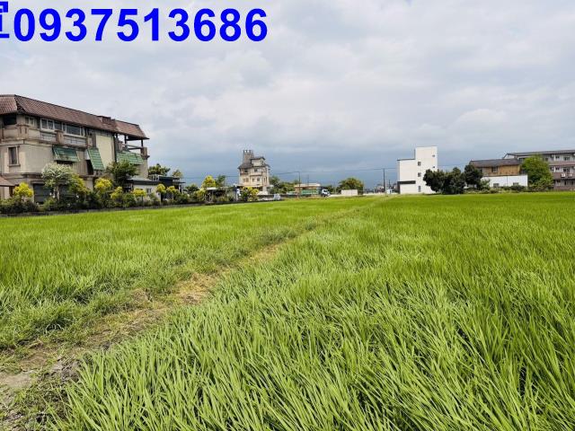 宜蘭農地-6