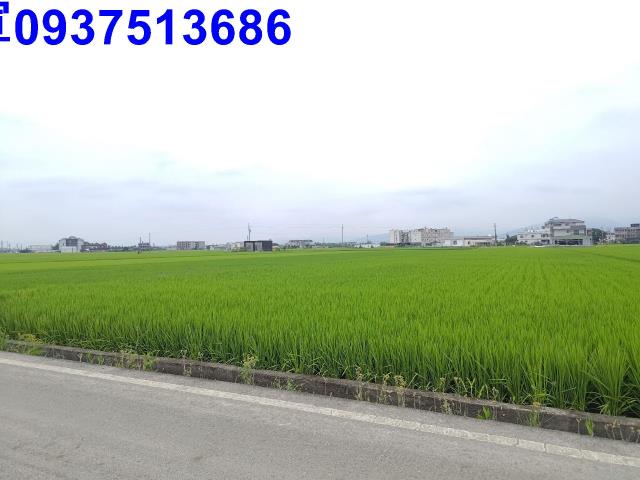宜蘭農地-2