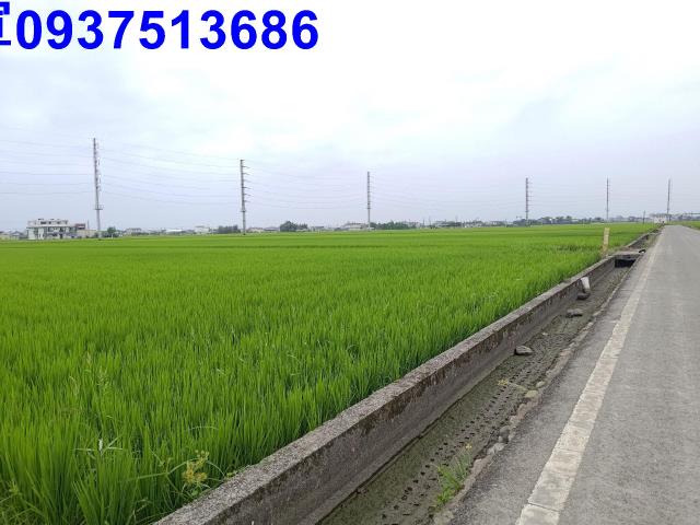 宜蘭農地-0