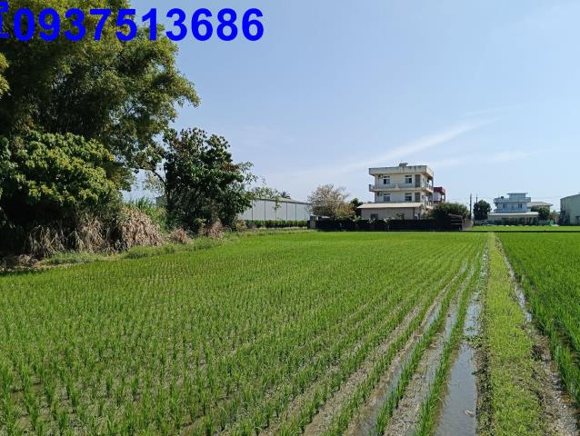 宜蘭農地-1
