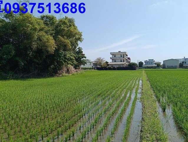 宜蘭農地-0