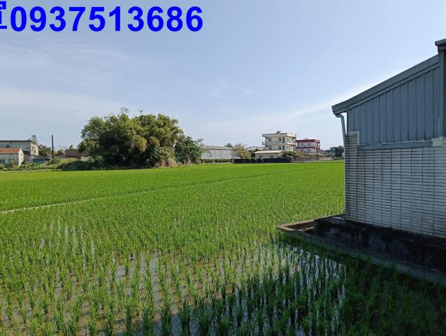 宜蘭農地-3