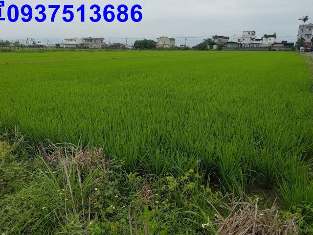 宜蘭農地-4