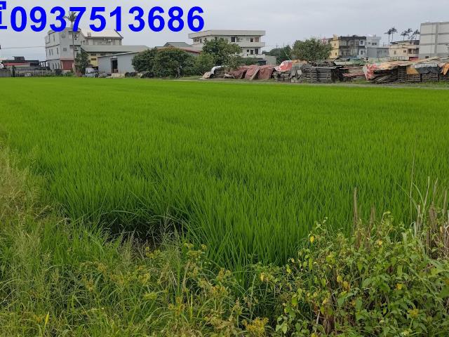 宜蘭農地-6