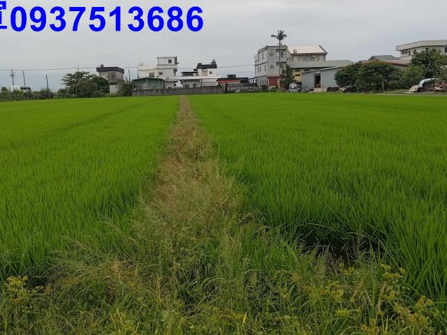宜蘭農地-7