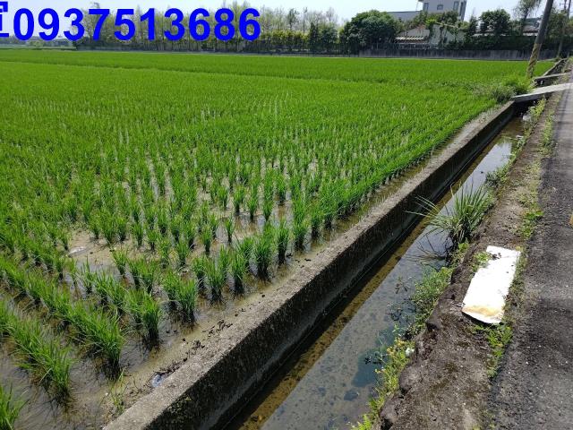 宜蘭礁溪農地-9
