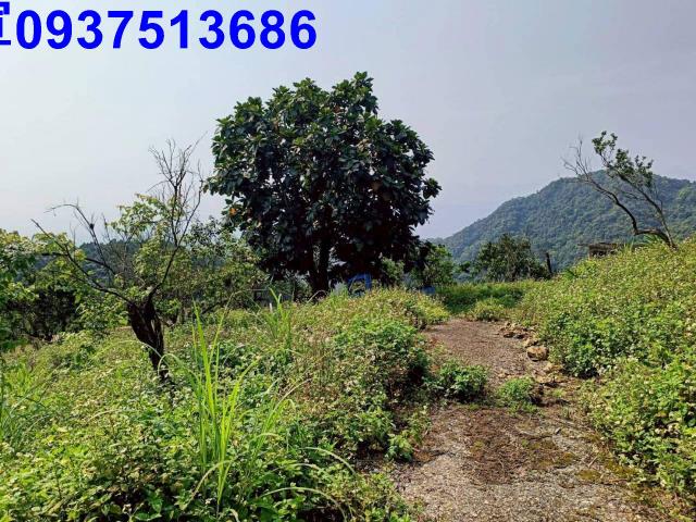 宜蘭員山農地-11