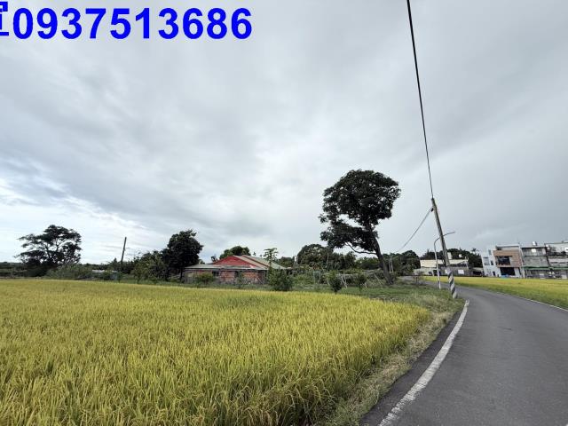 宜蘭頭城農地-3