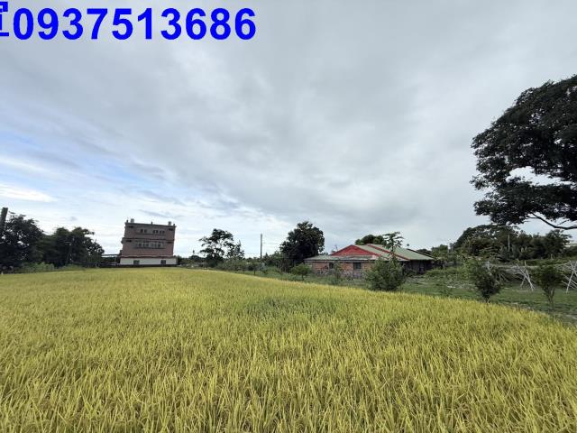 宜蘭頭城農地-5