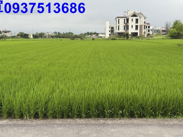 宜蘭員山農地-8