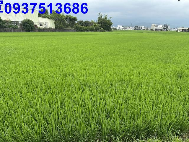 宜蘭宜蘭市農地-0