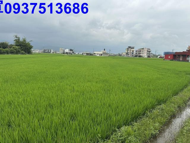 宜蘭宜蘭市農地-3