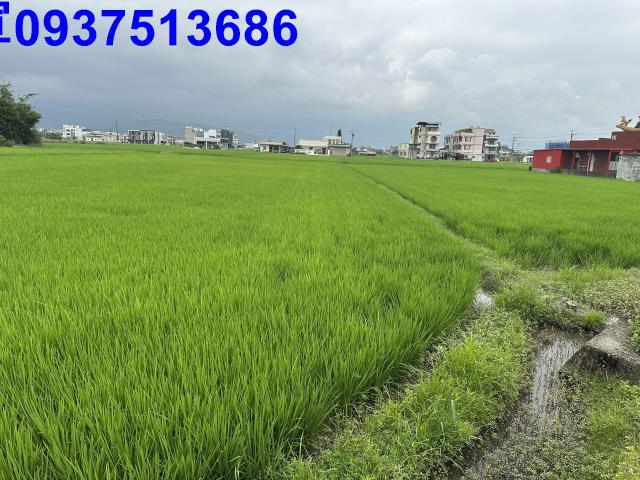 宜蘭宜蘭市農地-4