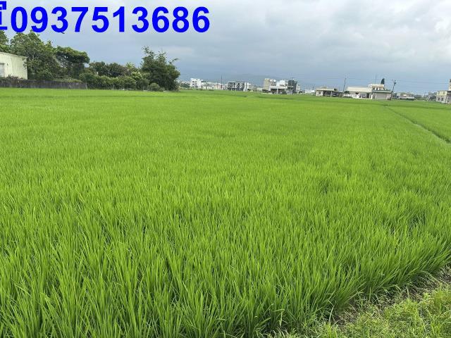 宜蘭宜蘭市農地-5