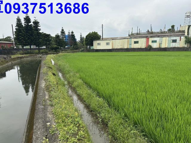 宜蘭宜蘭市農地-8