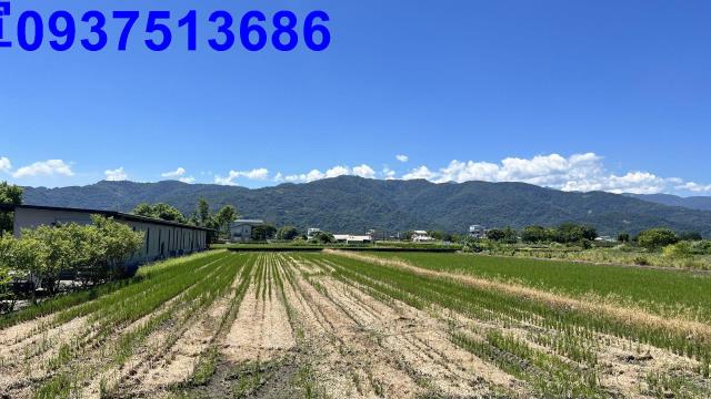 宜蘭三星農地-2