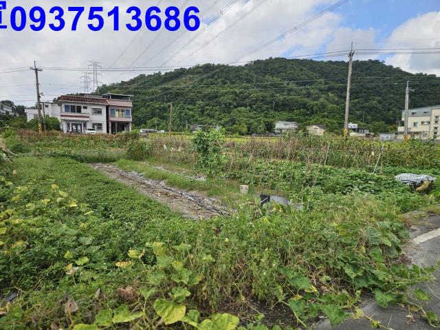 宜蘭員山農地-6