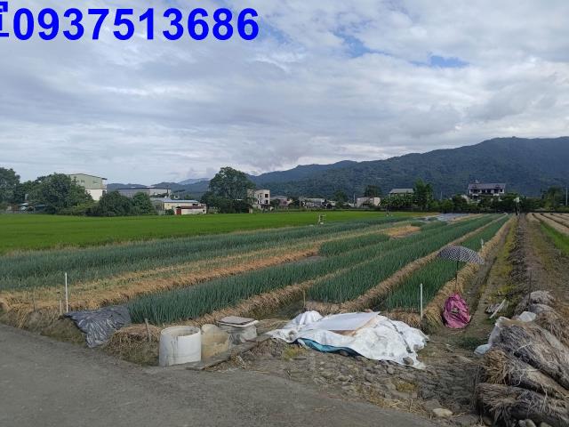 宜蘭三星農地-12