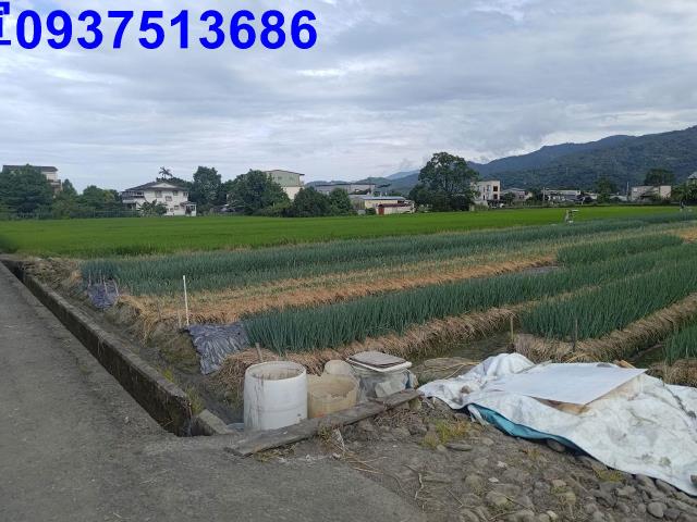 宜蘭三星農地-7