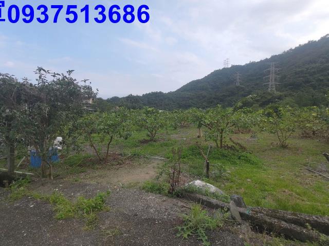 宜蘭員山農地-11