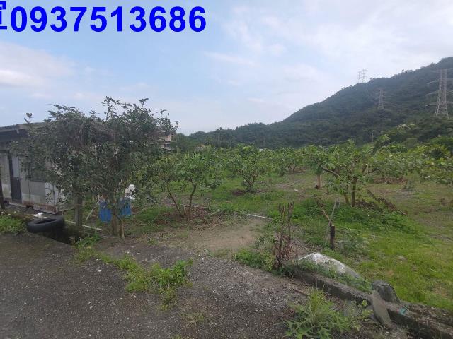 宜蘭員山農地-13