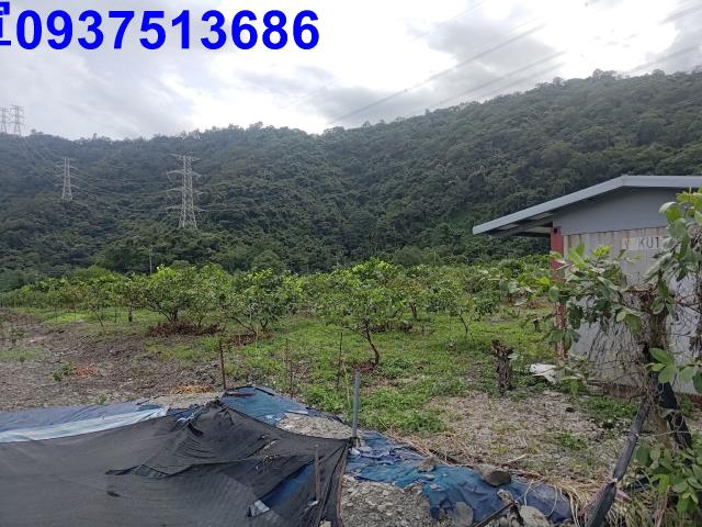 宜蘭員山農地-1