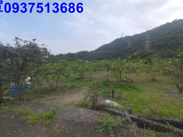 宜蘭員山農地-3
