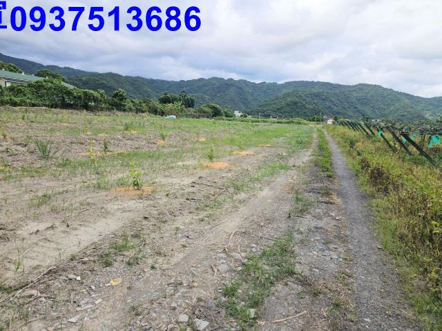 宜蘭員山農地-7