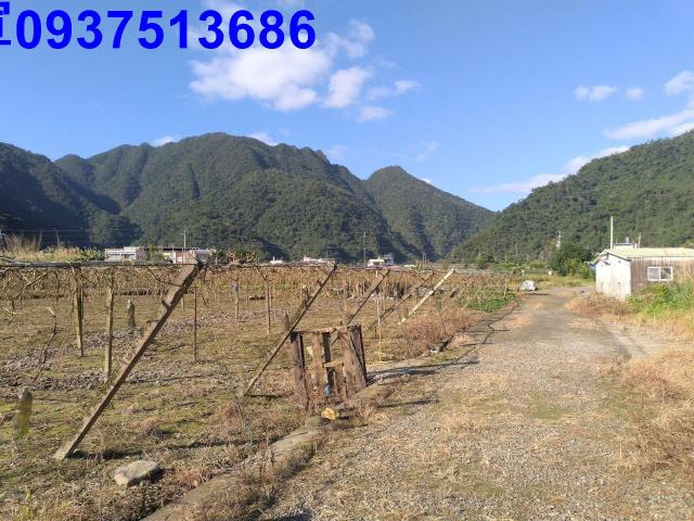 宜蘭員山農地-8