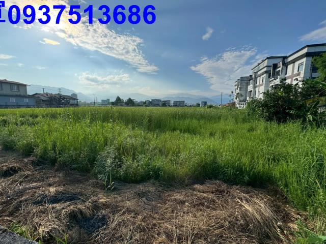 員山農地-5