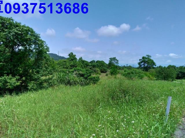 冬山農地-2