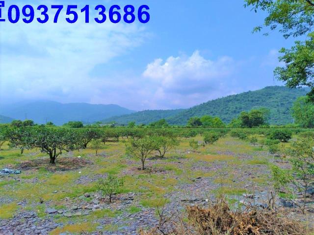 冬山農地-3