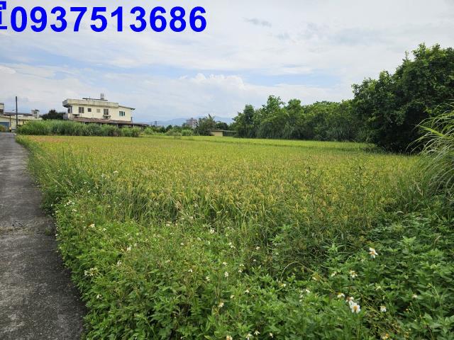 員山農地-0