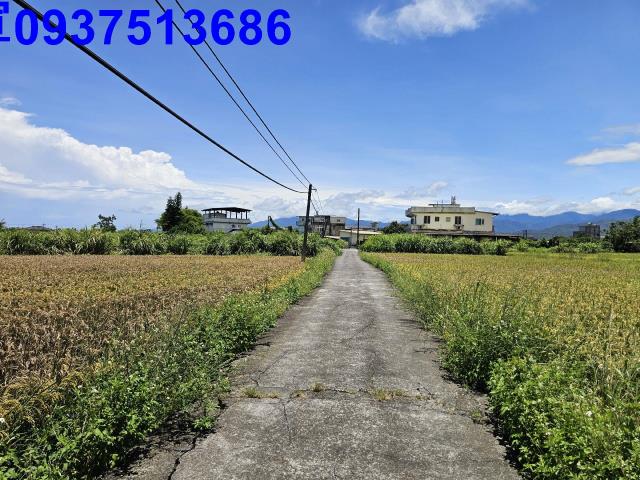 員山農地-4