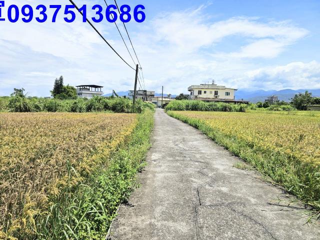 員山農地-6