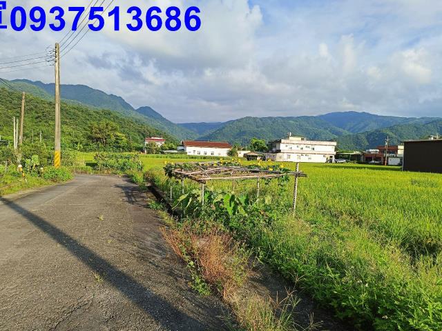員山農地-8