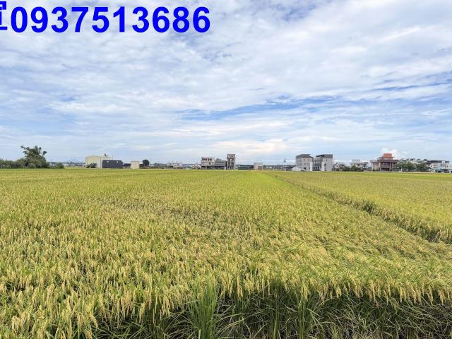宜蘭農地-14