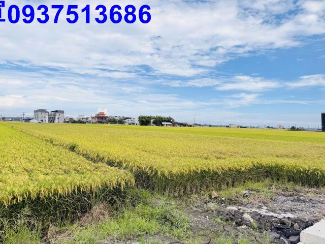 宜蘭農地-8