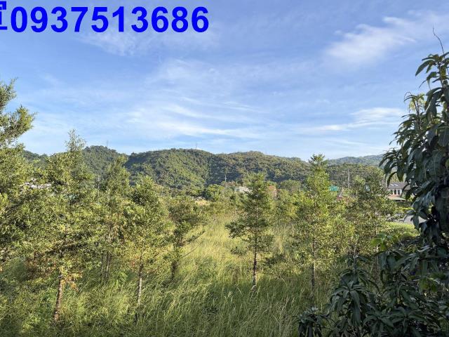 宜蘭農地-3